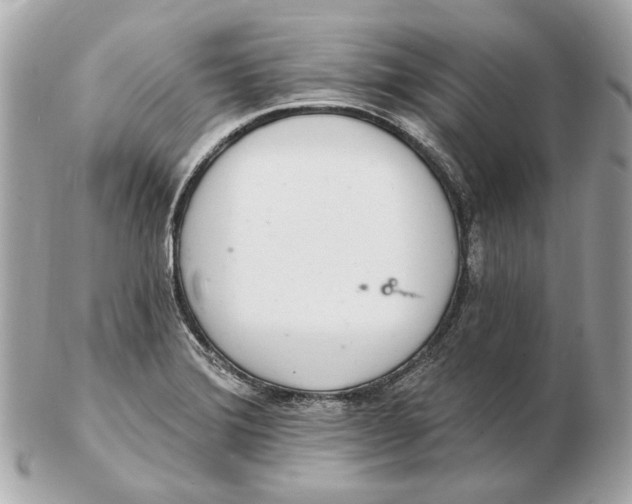 X0000102501372200808291702