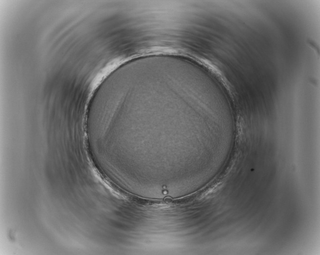 X0000102501373200808291702