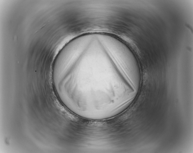 X0000102501374200808291702