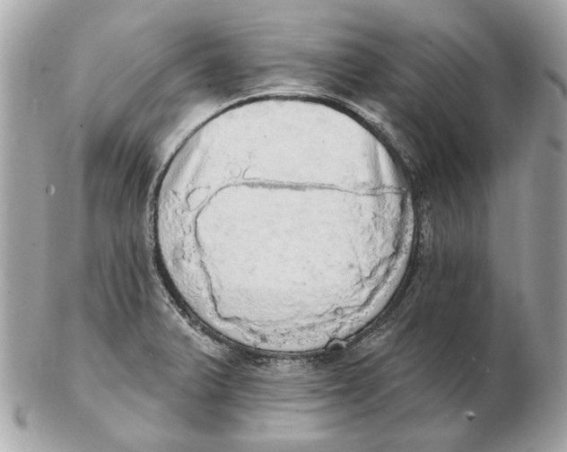 X0000102501375200808291702