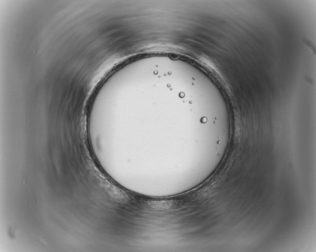 X0000102501376200808291702