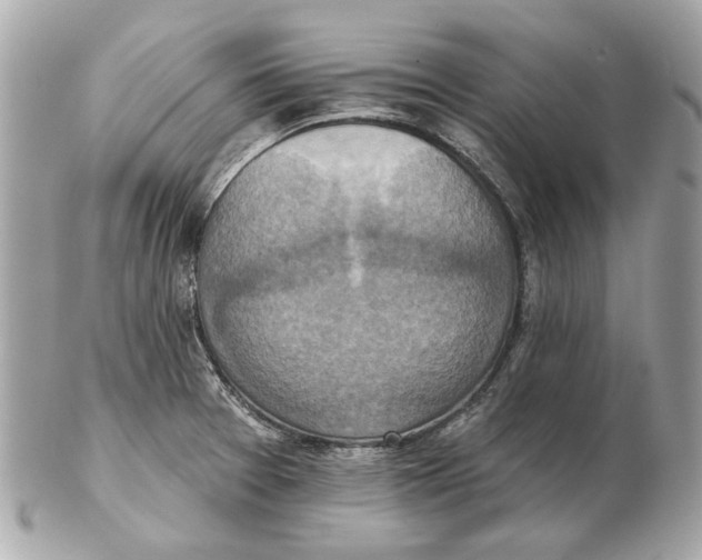 X0000102501377200808291702