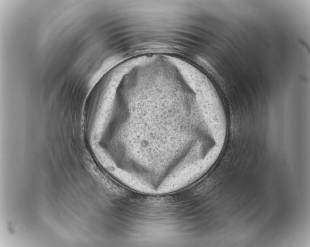 X0000102501378200808291702