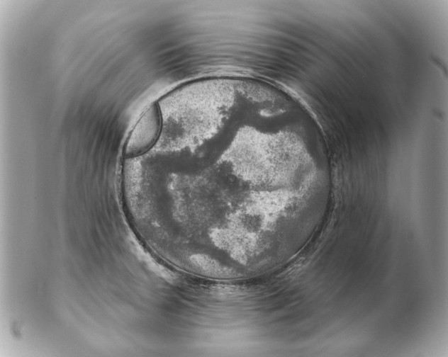 X0000102501379200808291702