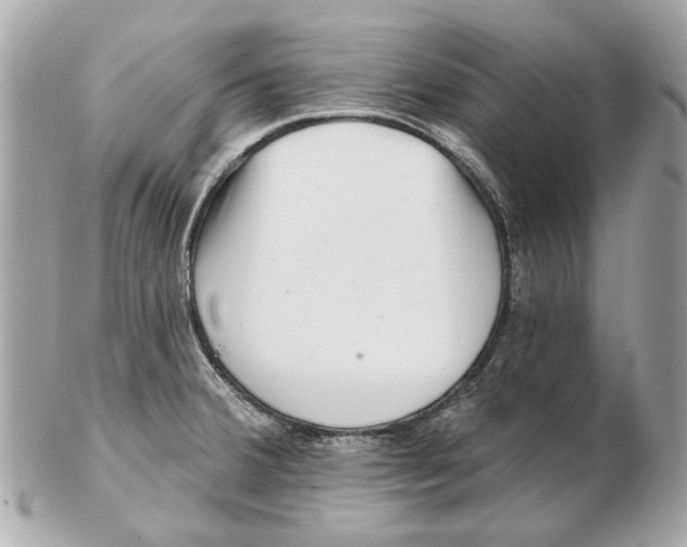 X0000102501380200808291702