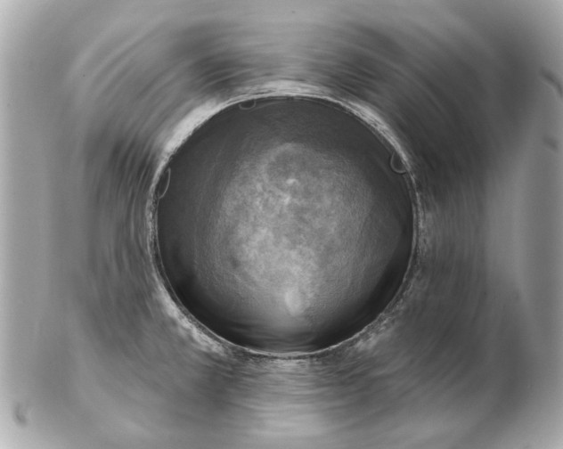 X0000102501381200808291702