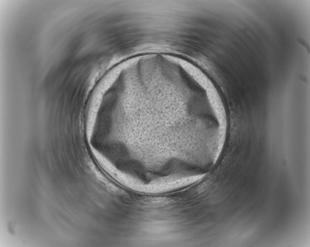 X0000102501382200808291702