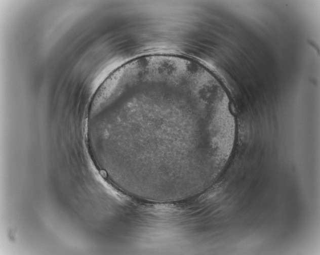 X0000102501383200808291702