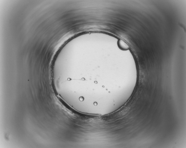 X0000102501384200808291702