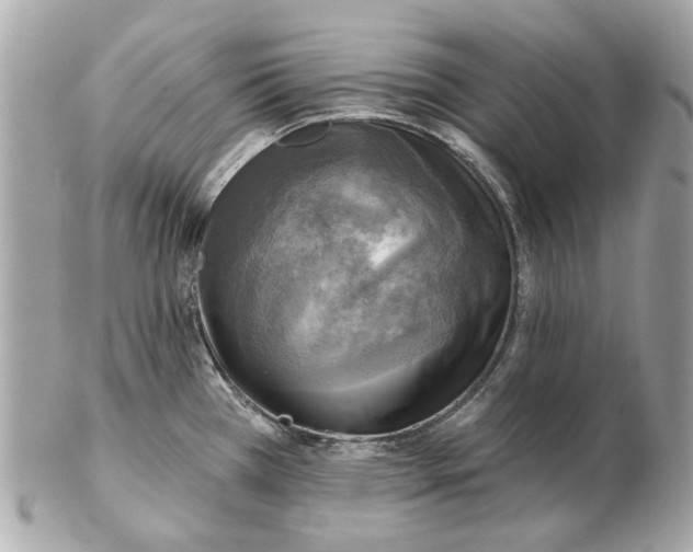 X0000102501385200808291702