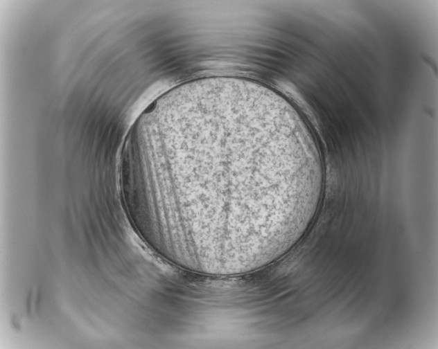 X0000102501386200808291702