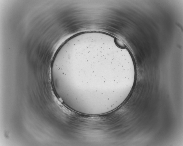 X0000102501388200808291702