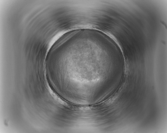 X0000102501389200808291702