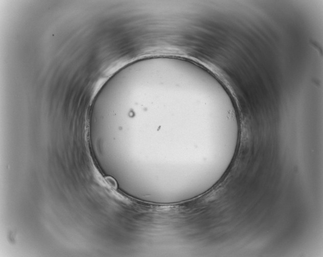 X0000102501390200808291702