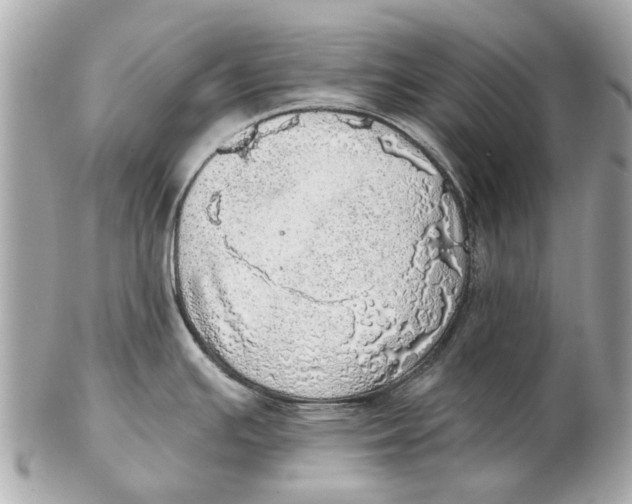 X0000102501391200808291702