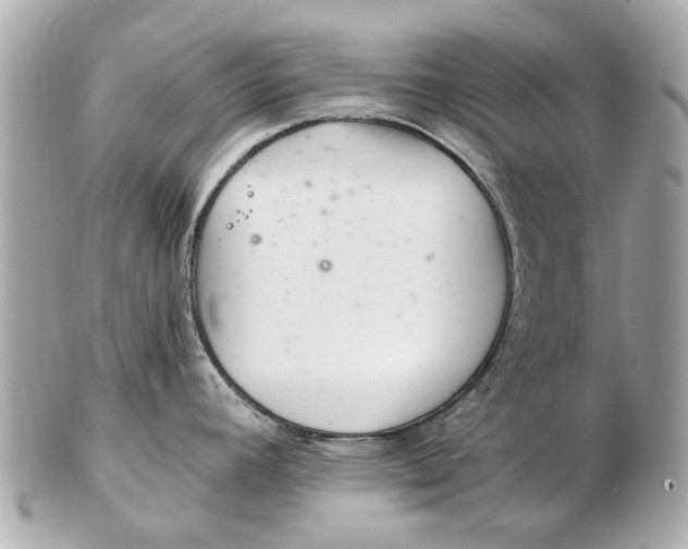 X0000102501392200808291702