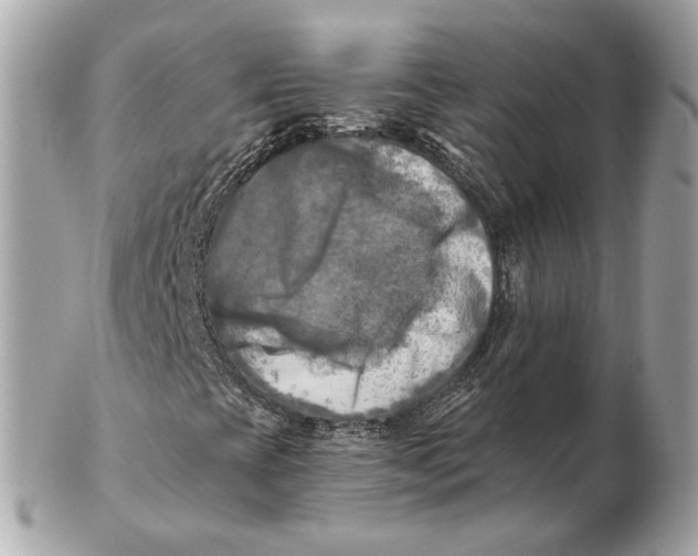 X0000102501393200808291701