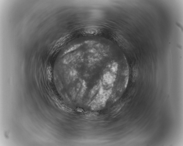 X0000102501394200808291701