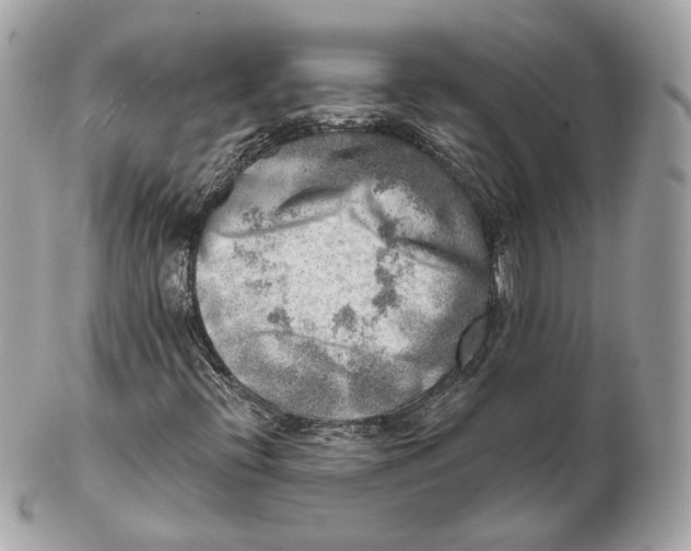 X0000102501396200808291701