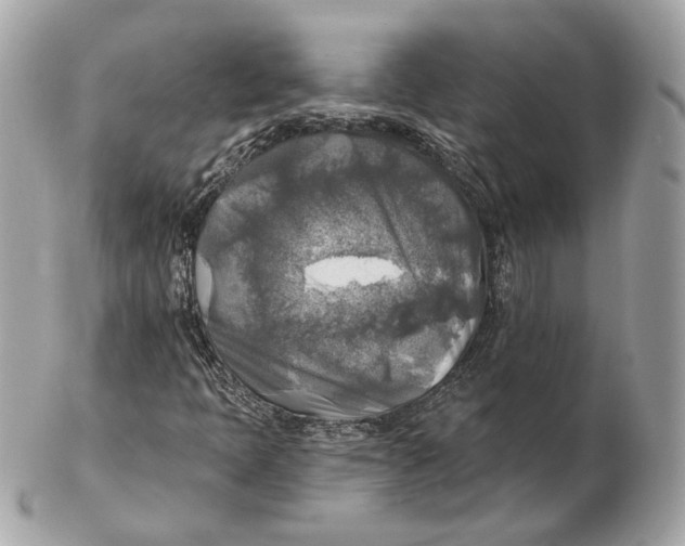 X0000102501397200808291701