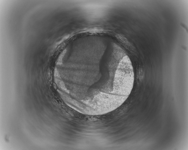 X0000102501398200808291701