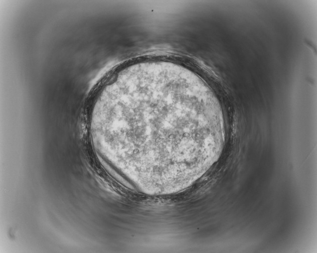 X0000102501400200808291701