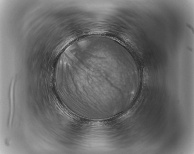 X0000102501401200808291701