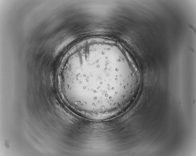 X0000102501402200808291701