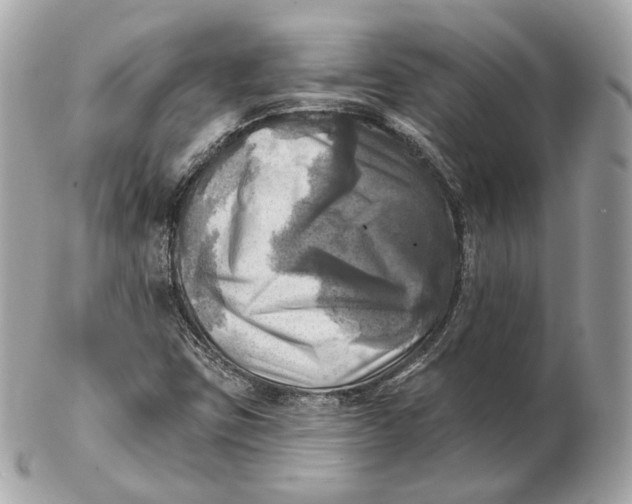 X0000102501403200808291701