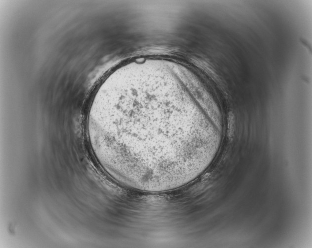 X0000102501404200808291701