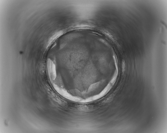 X0000102501405200808291701