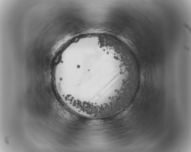 X0000102501406200808291701