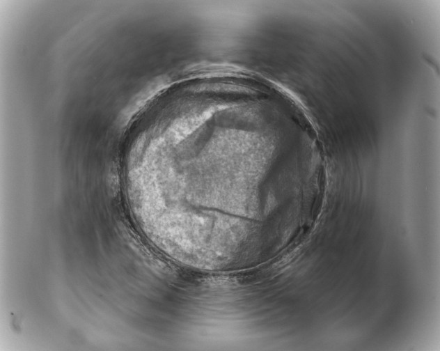 X0000102501407200808291701