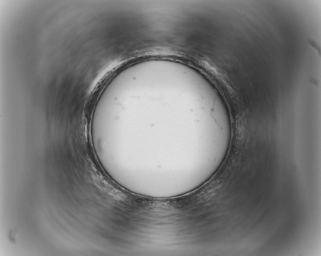 X0000102501408200808291701