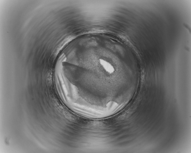 X0000102501409200808291701