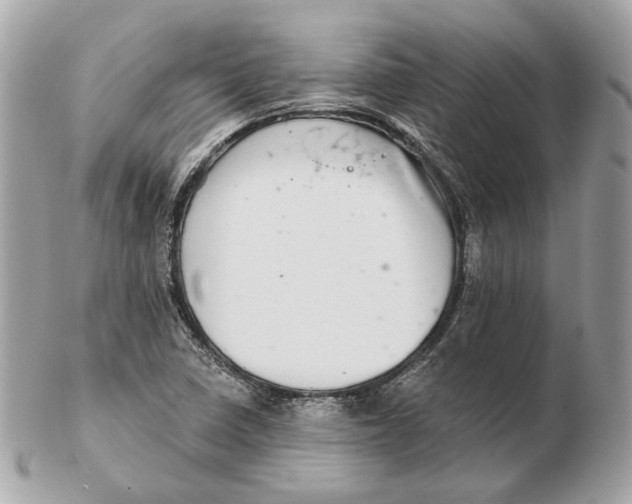 X0000102501410200808291701