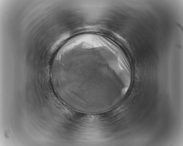 X0000102501411200808291701