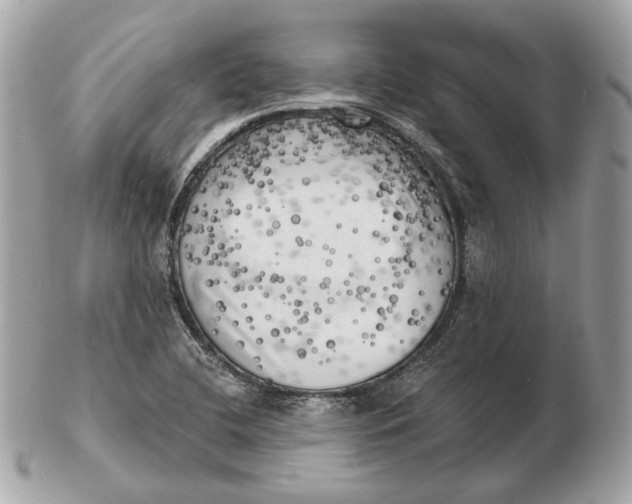 X0000102501412200808291702