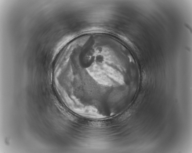 X0000102501413200808291702