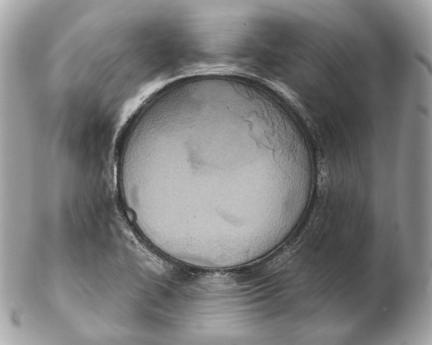 X0000102501414200808291702