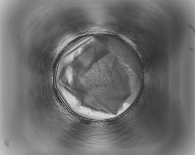 X0000102501415200808291702