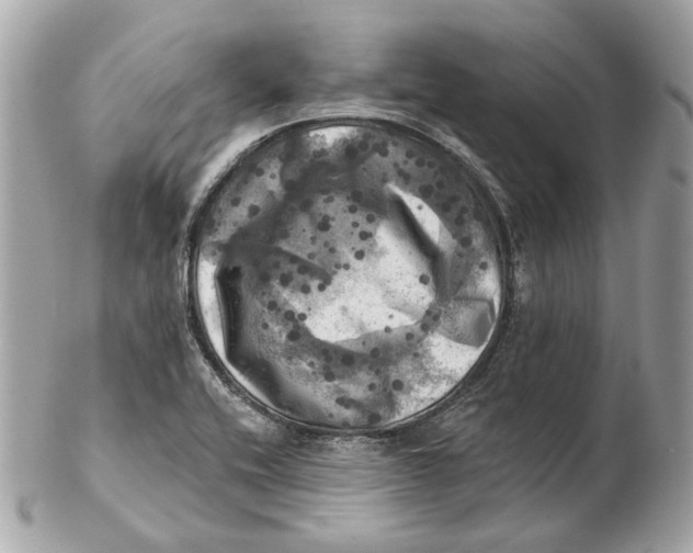 X0000102501416200808291702