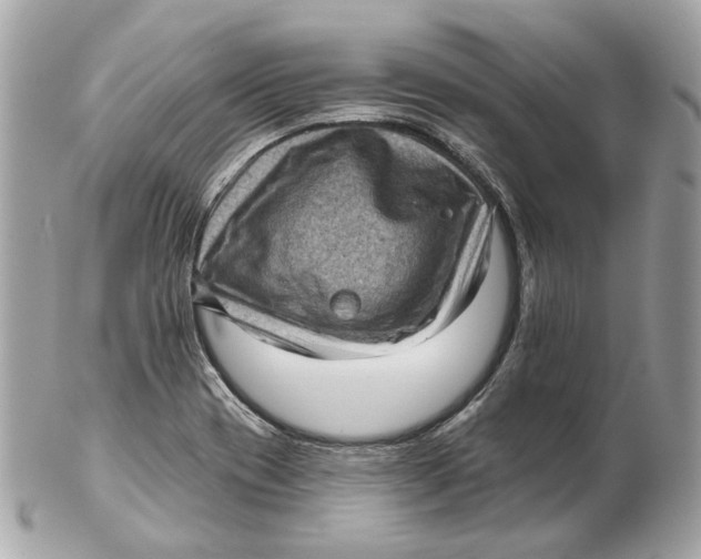 X0000102501417200808291702