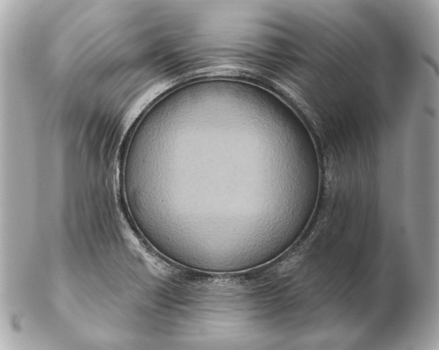 X0000102501418200808291702