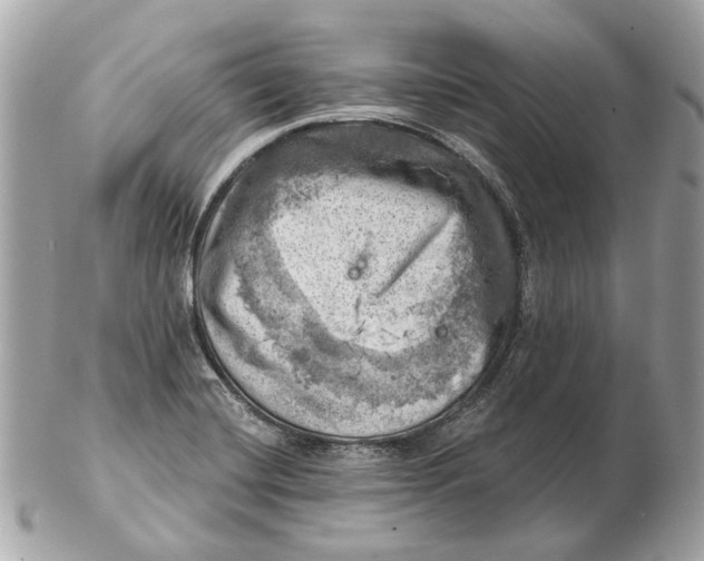 X0000102501420200808291702