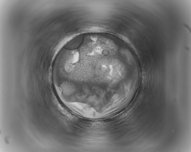 X0000102501421200808291702