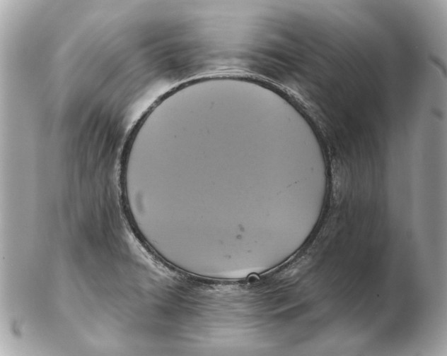 X0000102501422200808291702