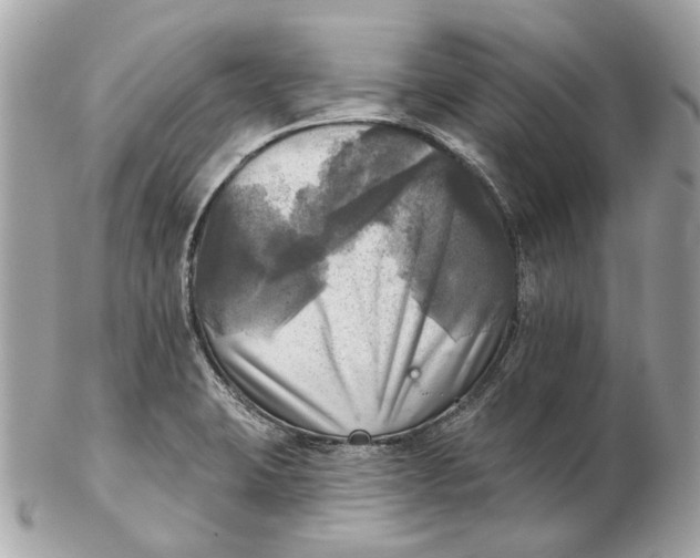 X0000102501423200808291702