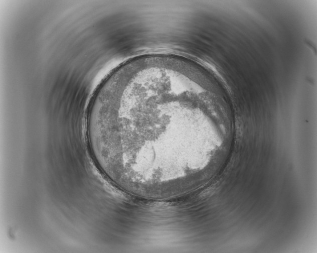 X0000102501424200808291702