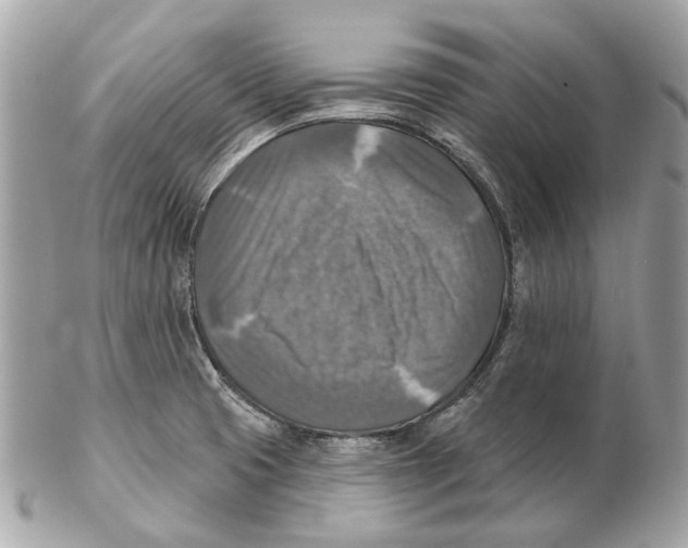 X0000102501425200808291702